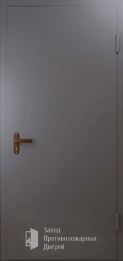 Фото двери «Техническая дверь №1 однопольная» в Серпухову